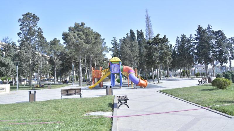 Bakıda parkın ortasında DƏHŞƏT: insanların gözü qarşısında...