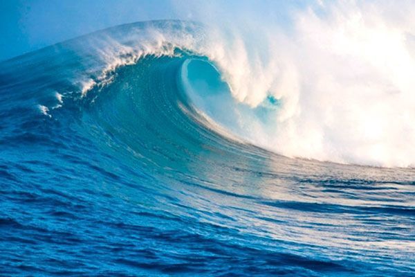 Alimlər: Bəşəriyyətin gələcəyi sual altındadır