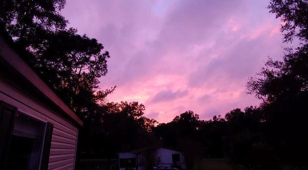 Florida səması bənövşəyi rəngə boyandı - VİDEO