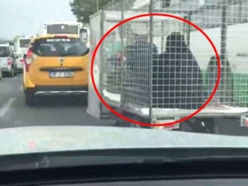 Qadını qəfəsdə daşıdılar, feministlər 