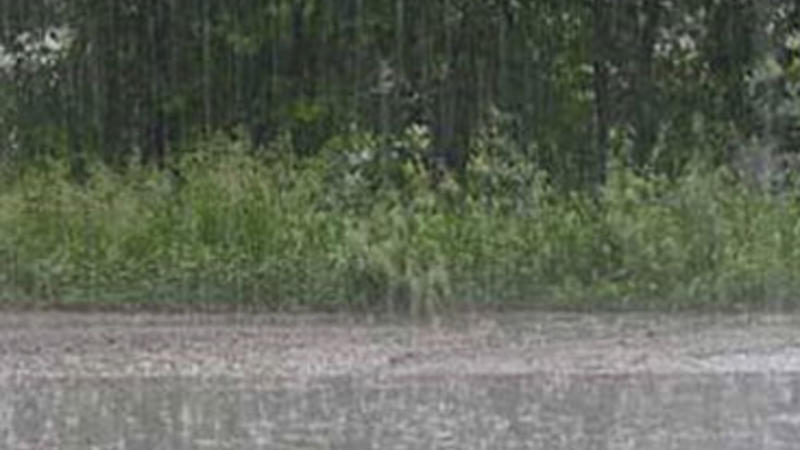 Yağış, leysan, külək - SABAHIN HAVASI