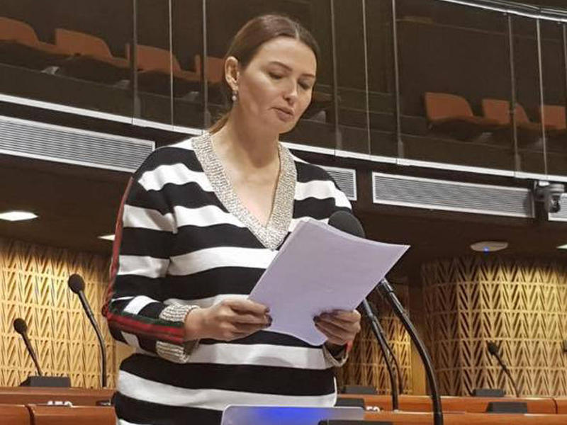 Qənirə Paşayeva AŞPA-da ciddi məsələsini qaldırdı - FOTO