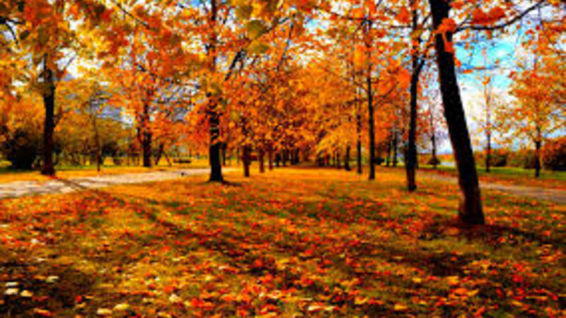 İstirahət günlərinin HAVA PROQNOZU açıqlandı