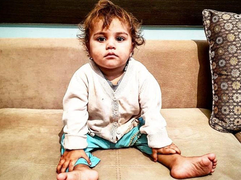 Bakıda itlərin parçalamaq istədiyi uşaq oğurlanıb - Səsə qaçdım ki ... - VİDEO - FOTO