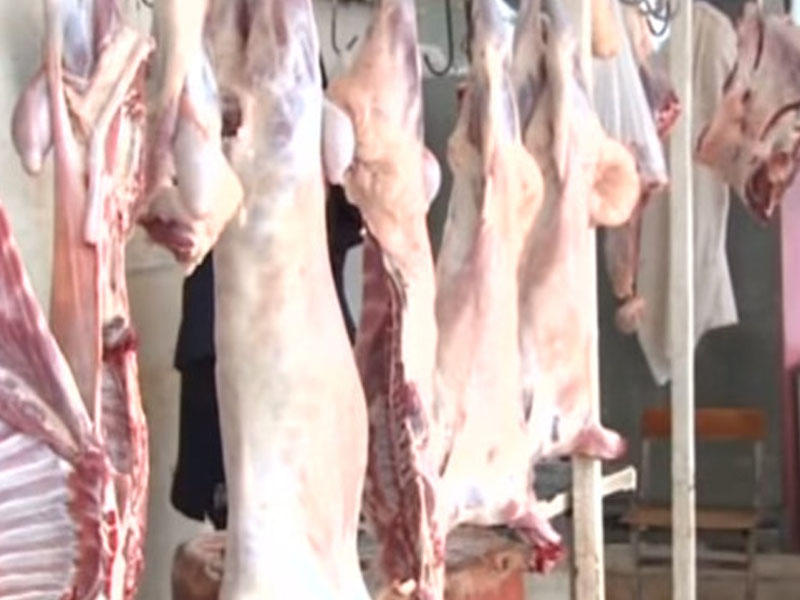 “Heç bir ətin satışı qadağan deyil” - Eşşək ətinin satışı ilə bağlı AÇIQLAMA - VİDEO - FOTO
