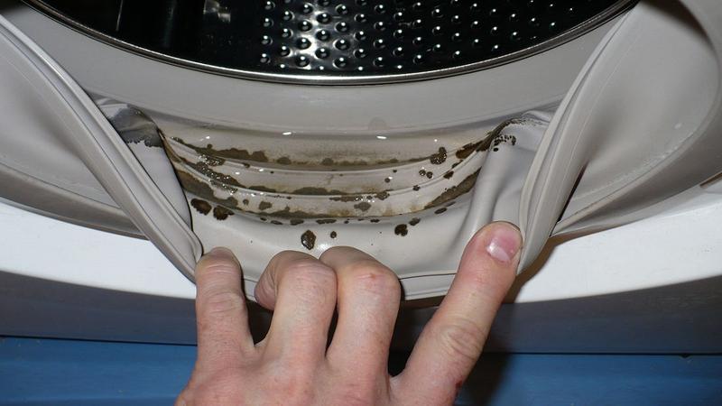 Paltaryuyan maşını kifdən qorumağın ən sadə üsulu