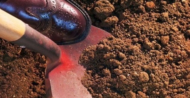 Arvadını Bakıda öldürüb Salyanda basdırıb – dəhşətli namus cinayətinin təfərrüatı