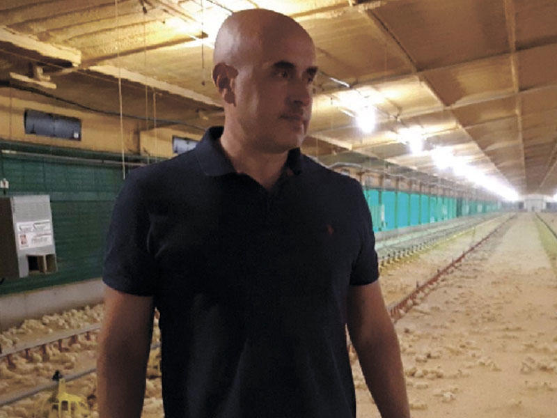 Toyuq əti alan zaman ilk növbədə nələrə diqqət yetirməliyik? - Sən demə böyük çəkili toyuqlar... - Ekspertdən dəyərli fikirlər