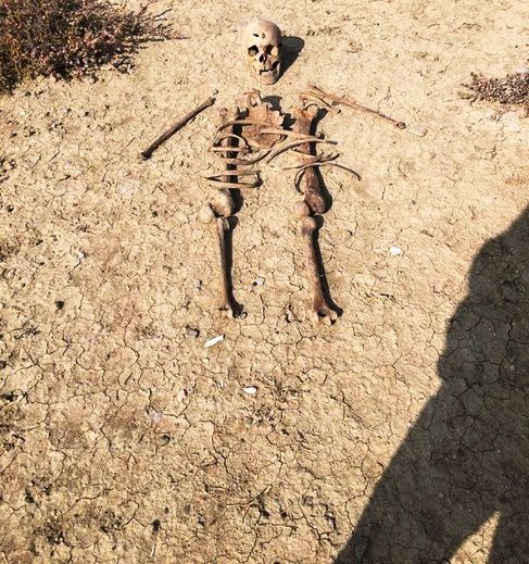 Mikayılın Müşfiqə aid olduğu ehtimal edilən skeletin FOTOSU: Alnında iki güllə yeri var