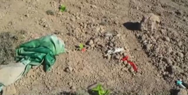 22 yaşlı Səbinə sevgilisindən uşaq dünyaya gətirdi, anası ilə birləşib körpəni öldürdü - VİDEO