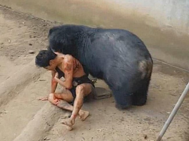 Vəhşi heyvan uşağı parçalamaq istədi - (18+VİDEO)