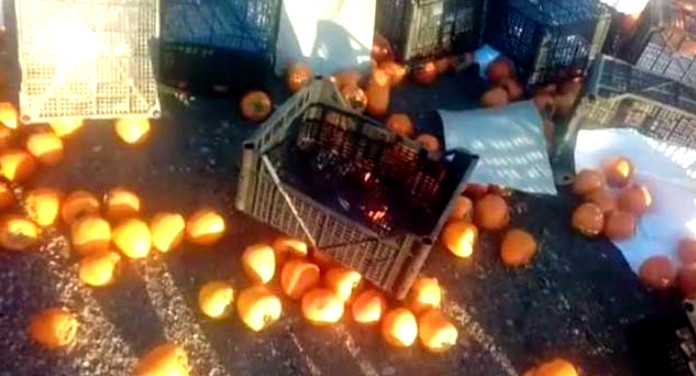 Bakı-Quba yolunda maşın aşdı: 20 ton xurma yerə töküldü – Fotolar