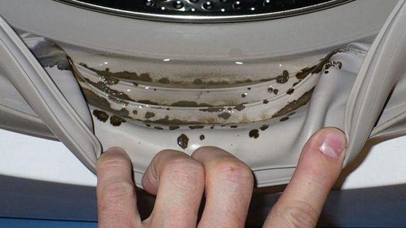 Paltaryuyan maşını kifdən qorumağın ən sadə üsulu