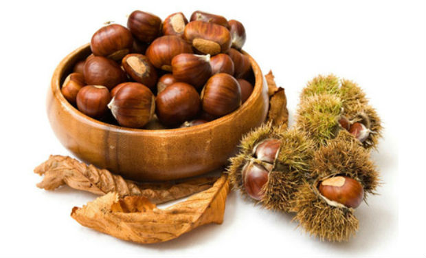 Şabalıdın insan orqanizminə faydaları və ziyanları