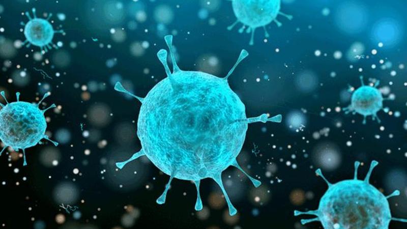 Bu torpaqlarda 2,4 milyon insan ÖLƏCƏK: Türkiyə və... - ÖLKƏLƏRİN SİYAHISI (FOTO)