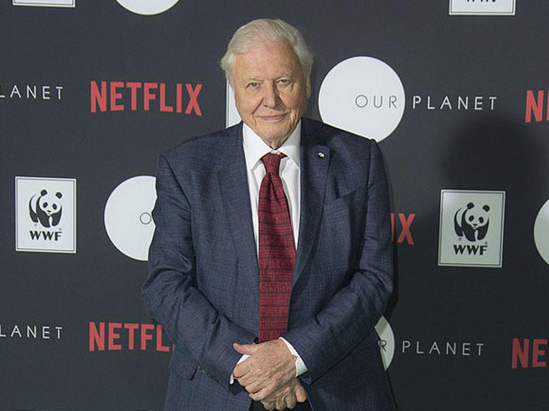 Ən məşhur aparıcı yeni şedevr yaradıb - VİDEO - FOTO