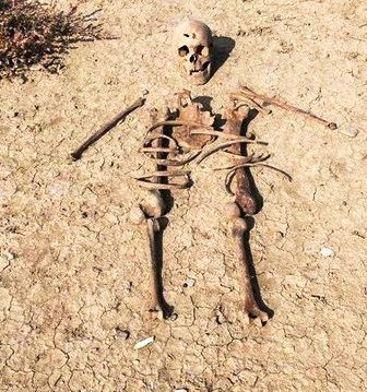 Müşfiqin məzarı ilə bağlı yeni versiya - 