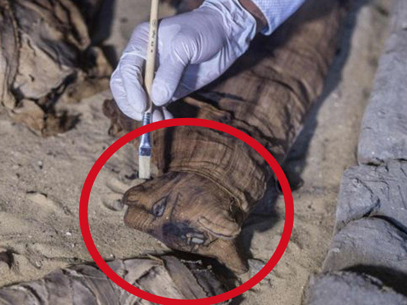 Misirdə onlarla mumiyalanmış pişik cəsədi tapılıb - FOTO