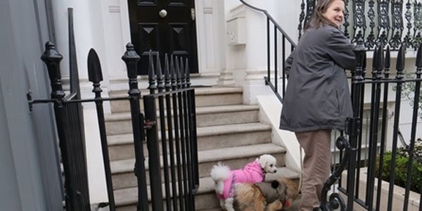 Zamirənin milyonluq evi, itinə baxan qadının açıqlamaları... - FOTOLAR