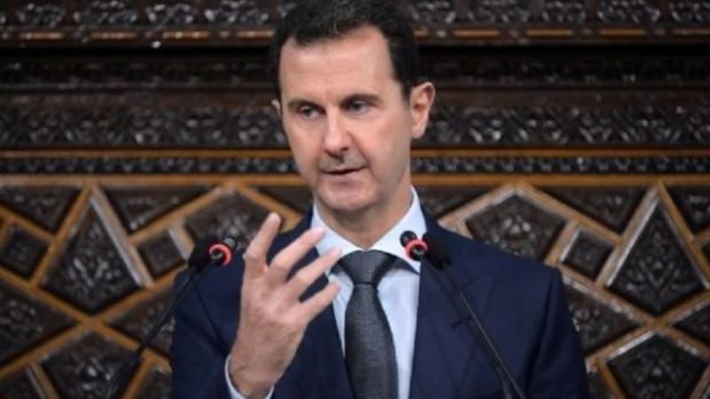 Əsəd vətəndaşların ÇİYNİNDƏ GƏZDİ - İNANILMAZ GÖRÜNTÜLƏR - FOTO/VİDEO