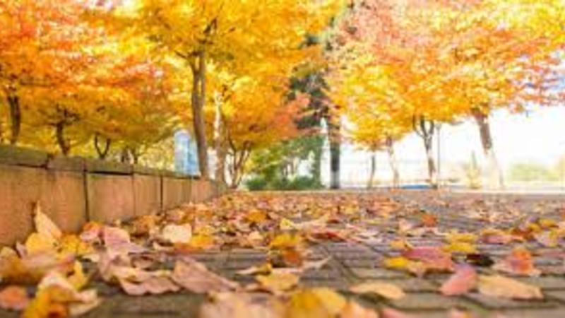 Sinoptiklərdən hava müjdəsi