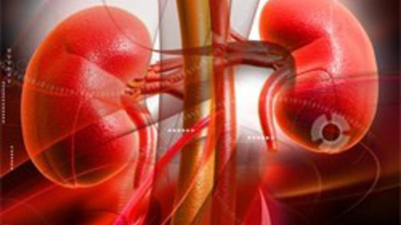 Növbəti SƏHİYYƏ BİABIRÇILIĞI: səhvən xəstənin hər iki böyrəyi çıxarıldı