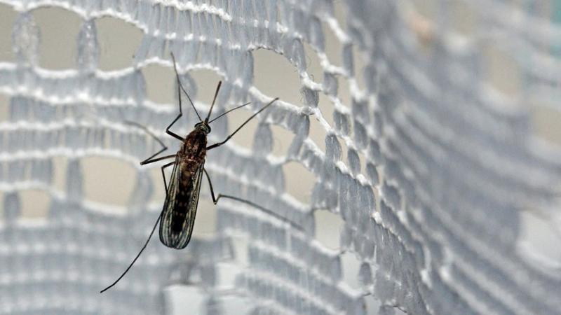 Hər iki dəqiqədə bir körpənin həyatına son qoyan TƏHLÜKƏLİ EPİDEMİYA