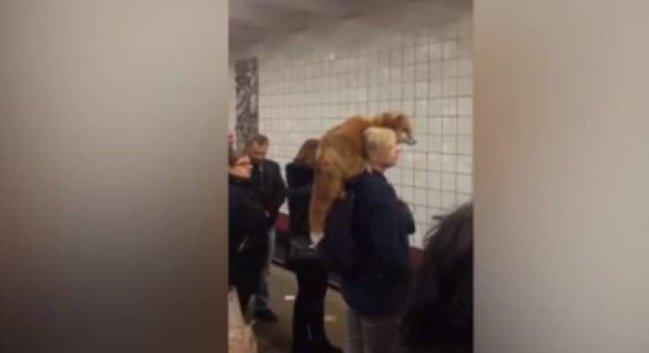 Metroya minən qadın bu hərəkəti ilə təəccübləndirdi - VİDEO