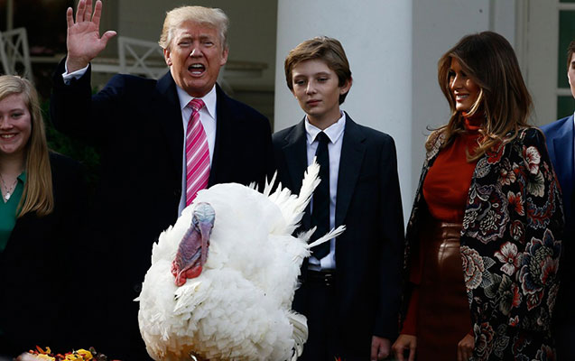 Tramp 2 hind quşunu “bağışladı” - Fotolar