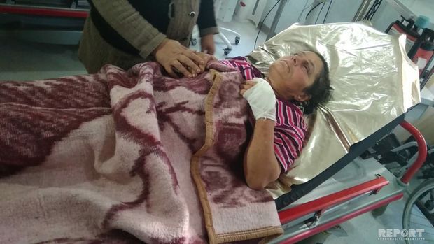 Lənkəranda yırtıcı heyvanlar sakinlərə hücum etdi: dörd yaralı