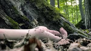 Gürcüstanda yaşlı kişini öldürüb meyitini meşəyə atdılar