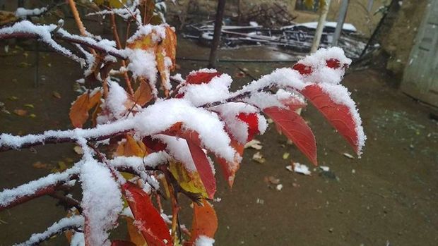 Naxçıvana qar yağıb - FOTO