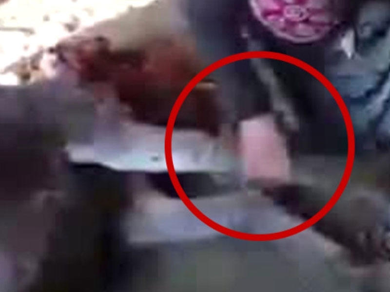 İnternetdə eşşəklə VİDEOsu yayılan qadın: Ayaqlarını masaj edirdim...