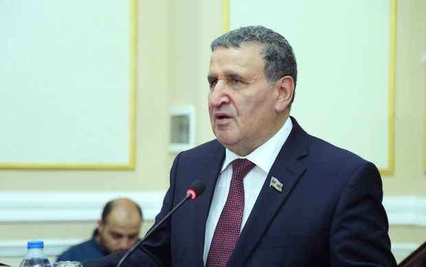 Komitə sədri: Elə olub ki, nazirlə bir saat telefonda danışmışam