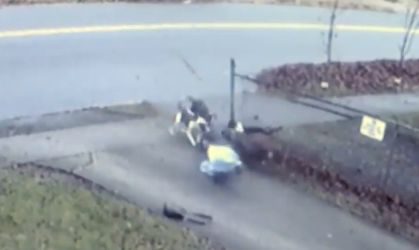 4 KÜÇƏ İTİ YAŞLI QADINI YERƏ YIXIB DİDİŞDİRDİ – DƏHŞƏTLİ GÖRÜNTÜLƏR