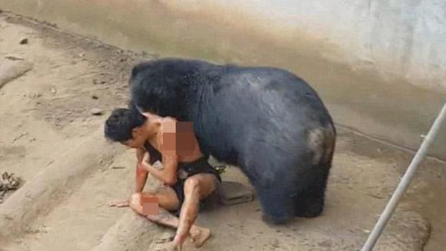 Ayı onunla zarafatlaşan turisti diri-diri yedi - DƏHŞƏTLİ FOTO/VİDEO