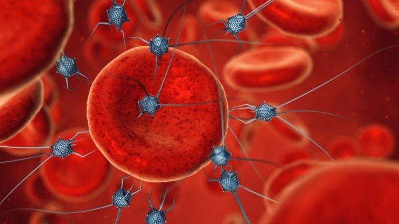 İsraildə niyə xərçəng yoxdur? - Yəhudi həkim xərçəng və qriplə bağlı HƏR ŞEYİ AÇDI - MÜSAHİBƏ