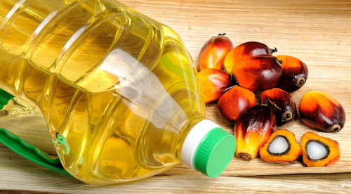 Azərbaycanlıları məhv edən yağ - Bütün dükanlarda satılır, amma xərçəng yaradırmış