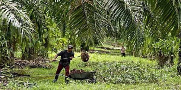 Azərbaycanlıları xərçəng edən əsas səbəb (VİDEO)