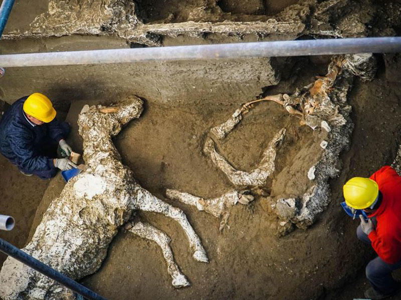 Pompeydə qədim dövrə aid at qalıqları tapıldı - FOTO