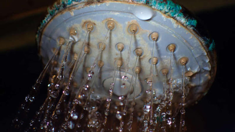 Duşdakı bu böyük təhlükədən XƏBƏRİNİZ VARMI - Alimlərdən ŞOK ARAŞDIRMA