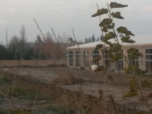 Beyləqanın yeni icra başçısı Heydər Əliyev parkını hissə-hissə satır