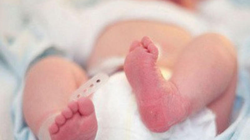 Azərbaycanda uşaqlara ən çox verilən quş adları – Siyahı