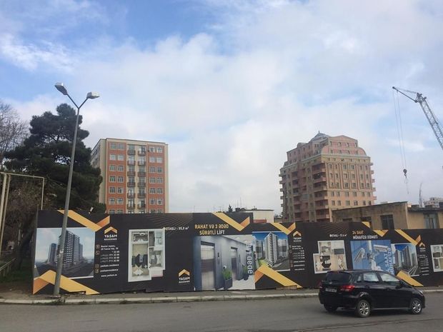 Paytaxtda ağaclar kütləvi şəkildə kəsilib - FOTO/VİDEO