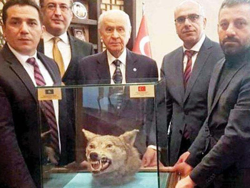 Baxçalıya qeyri-adi hədiyyə verildi - FOTO