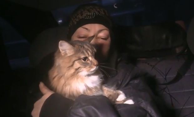 Rusiyada çökən binadan ev heyvanları xilas edildi - VİDEO