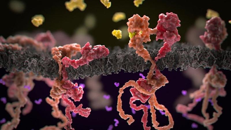 Xərçəng xəstəliyi ilə bağlı İNQİLABİ YENİLİK - Mükəmməl ARAŞDIRMA