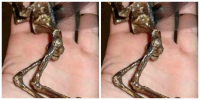 Sahildə qəribə varlıq tapıldı - Hamı ora axışdı / FOTOLAR