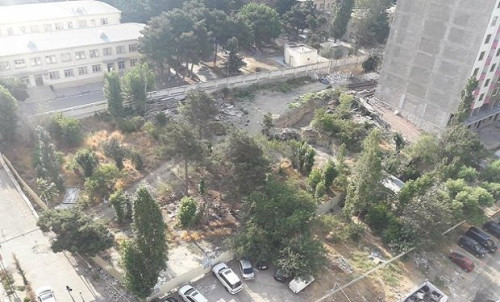 SON DƏQİQƏ: Bakının Xətai rayonunda daha bir ərazidə ağac “qırğın”ı törətmək istəyirlər - HASARLANDI