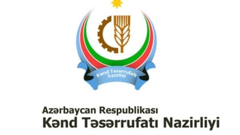 Anar Hüseynova YÜKSƏK VƏZİFƏ VERİLDİ